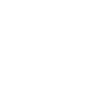 sidr honey in uk
